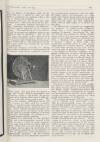The Bioscope Thursday 24 April 1913 Page 43