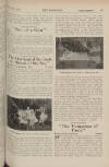 The Bioscope Thursday 18 April 1918 Page 31