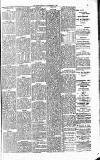 Lennox Herald Saturday 14 November 1891 Page 3