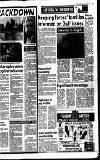 Lennox Herald Friday 18 January 1991 Page 17
