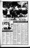 Lennox Herald Friday 22 July 1994 Page 19