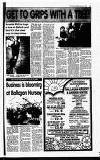 Lennox Herald Friday 24 March 1995 Page 31