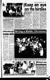 Lennox Herald Friday 22 December 1995 Page 29