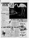 Reveille Friday 12 January 1951 Page 3