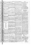Morning Herald (London) Thursday 07 November 1805 Page 3