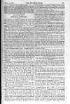 English Mail Saturday 18 February 1860 Page 13