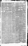 Heywood Advertiser Saturday 08 January 1870 Page 3