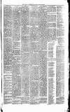 Heywood Advertiser Friday 30 December 1870 Page 3