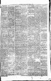 Heywood Advertiser Friday 25 December 1874 Page 3