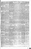 Heywood Advertiser Friday 04 June 1875 Page 3