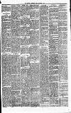 Heywood Advertiser Friday 31 December 1875 Page 3