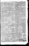 Heywood Advertiser Friday 04 February 1876 Page 3