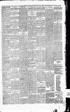Heywood Advertiser Friday 21 April 1876 Page 3