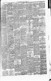 Heywood Advertiser Friday 01 December 1876 Page 3