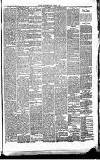 Heywood Advertiser Friday 19 January 1877 Page 3