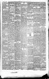 Heywood Advertiser Friday 02 March 1877 Page 3