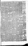 Heywood Advertiser Friday 06 April 1877 Page 3