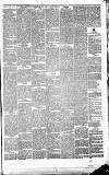 Heywood Advertiser Friday 27 April 1877 Page 3