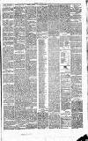 Heywood Advertiser Friday 18 May 1877 Page 3