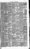 Heywood Advertiser Friday 15 February 1878 Page 3