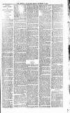 Heywood Advertiser Friday 07 November 1879 Page 3