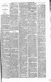 Heywood Advertiser Friday 26 December 1879 Page 3