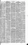 Heywood Advertiser Friday 16 January 1880 Page 7