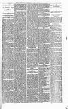 Heywood Advertiser Friday 13 February 1880 Page 5