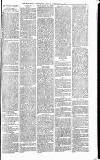 Heywood Advertiser Friday 27 February 1880 Page 7