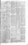 Heywood Advertiser Friday 05 March 1880 Page 7