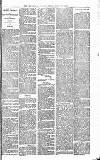 Heywood Advertiser Friday 19 March 1880 Page 3
