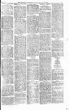 Heywood Advertiser Friday 19 March 1880 Page 7