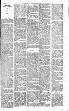 Heywood Advertiser Friday 09 April 1880 Page 3