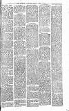 Heywood Advertiser Friday 09 April 1880 Page 7