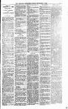 Heywood Advertiser Friday 03 September 1880 Page 3