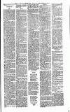 Heywood Advertiser Thursday 23 December 1880 Page 7