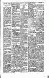 Heywood Advertiser Friday 25 February 1881 Page 3