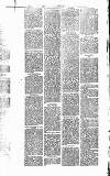 Heywood Advertiser Friday 08 April 1881 Page 3