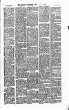 Heywood Advertiser Friday 01 July 1881 Page 7