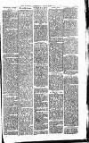 Heywood Advertiser Friday 16 February 1883 Page 7