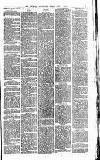 Heywood Advertiser Friday 01 June 1883 Page 7