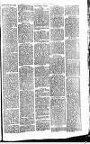 Heywood Advertiser Friday 04 January 1884 Page 7