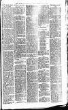 Heywood Advertiser Friday 22 February 1884 Page 7