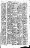 Heywood Advertiser Friday 07 March 1884 Page 7