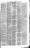 Heywood Advertiser Friday 21 March 1884 Page 3