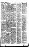 Heywood Advertiser Friday 02 May 1884 Page 7