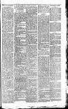 Heywood Advertiser Friday 12 December 1884 Page 7