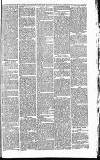 Heywood Advertiser Friday 20 March 1885 Page 5