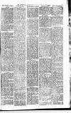 Heywood Advertiser Friday 26 June 1885 Page 6