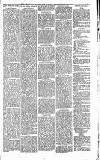 Heywood Advertiser Friday 04 September 1885 Page 7